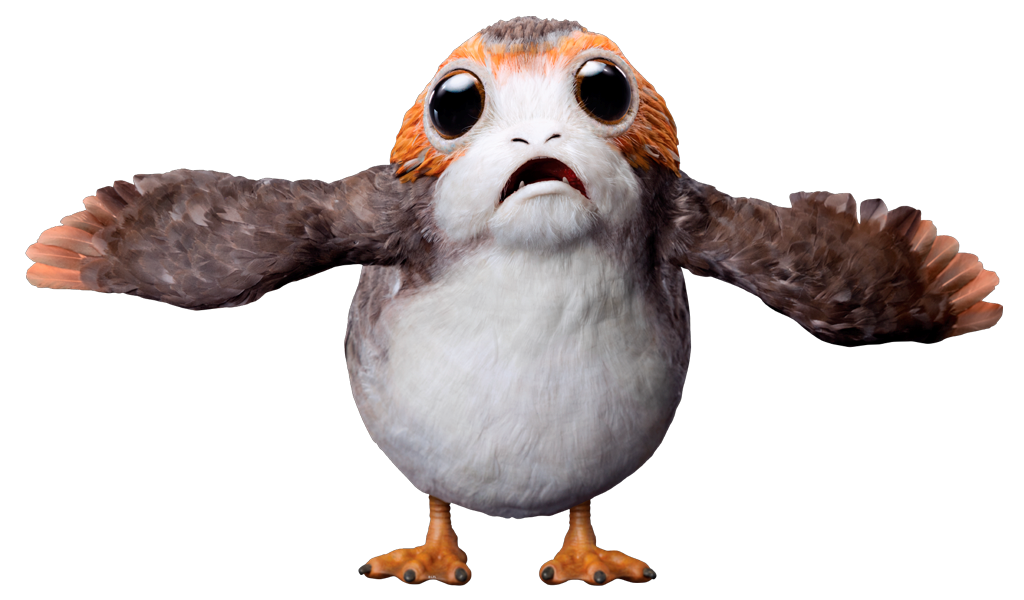 Bird | Wookieepedia | Fandom