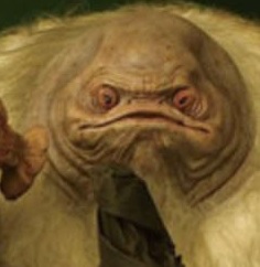 Bufopel appearance 