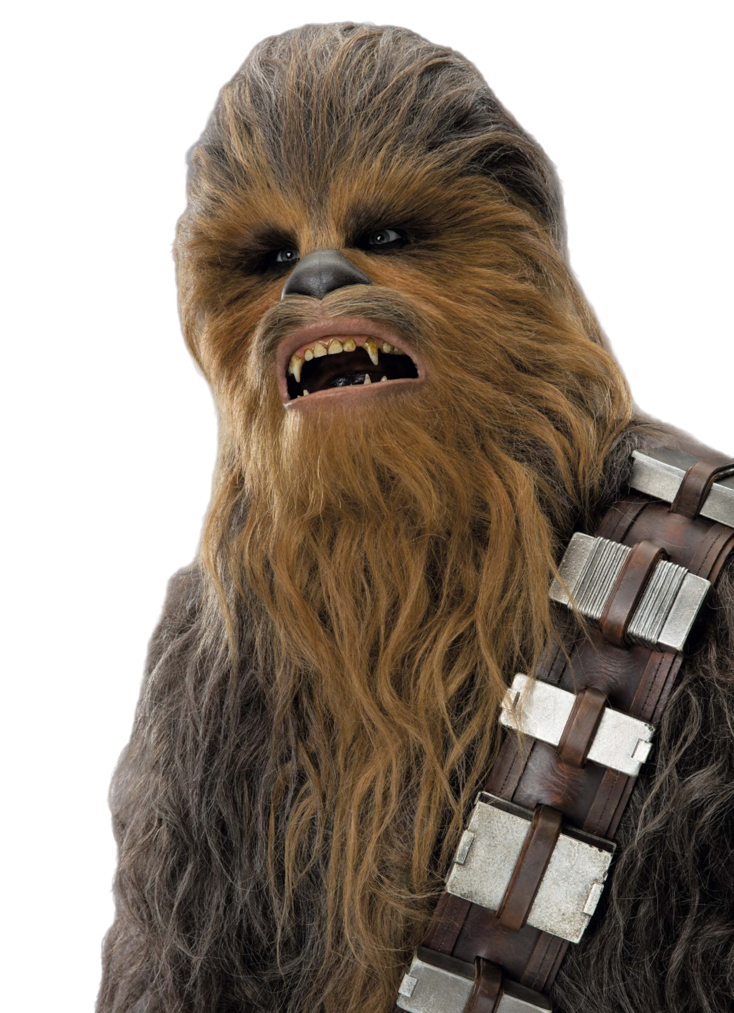 Chewbacca appearance in Common Appearance