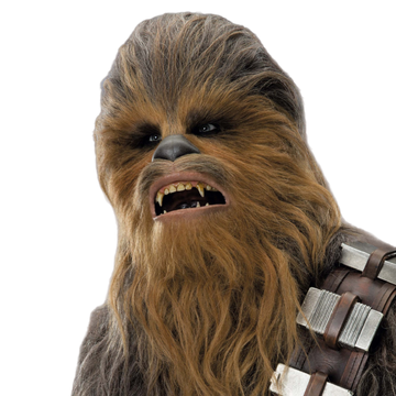 Chewbacca Wookieepedia Fandom