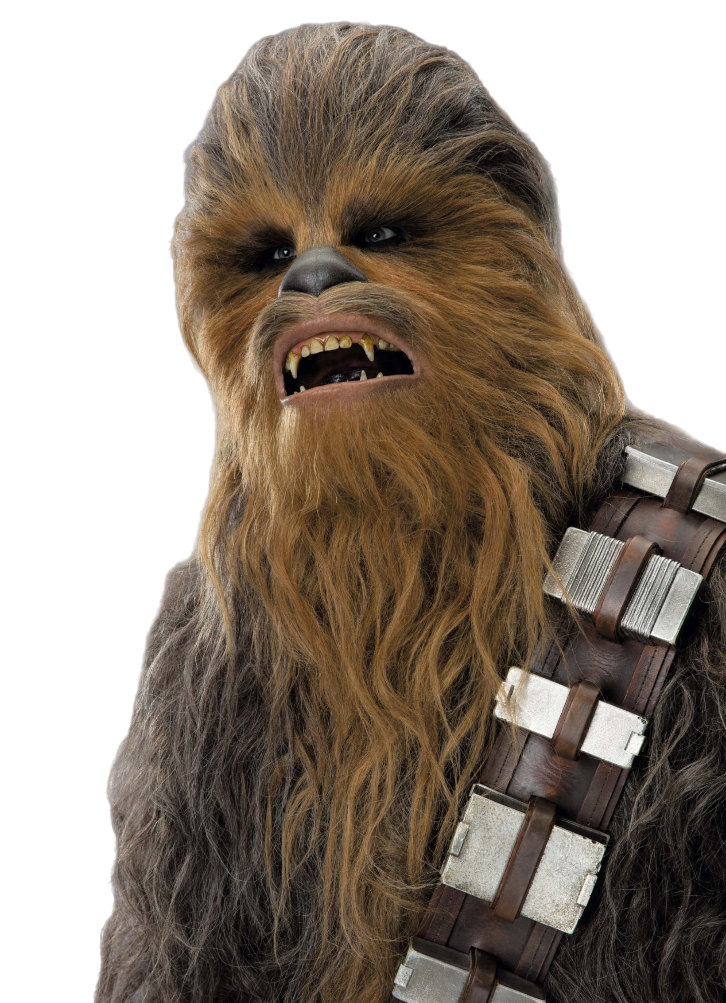 Chewbacca, Star Wars Wiki em Português