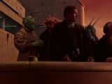 Republic Security Council