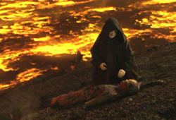 250px-Recoveringvader