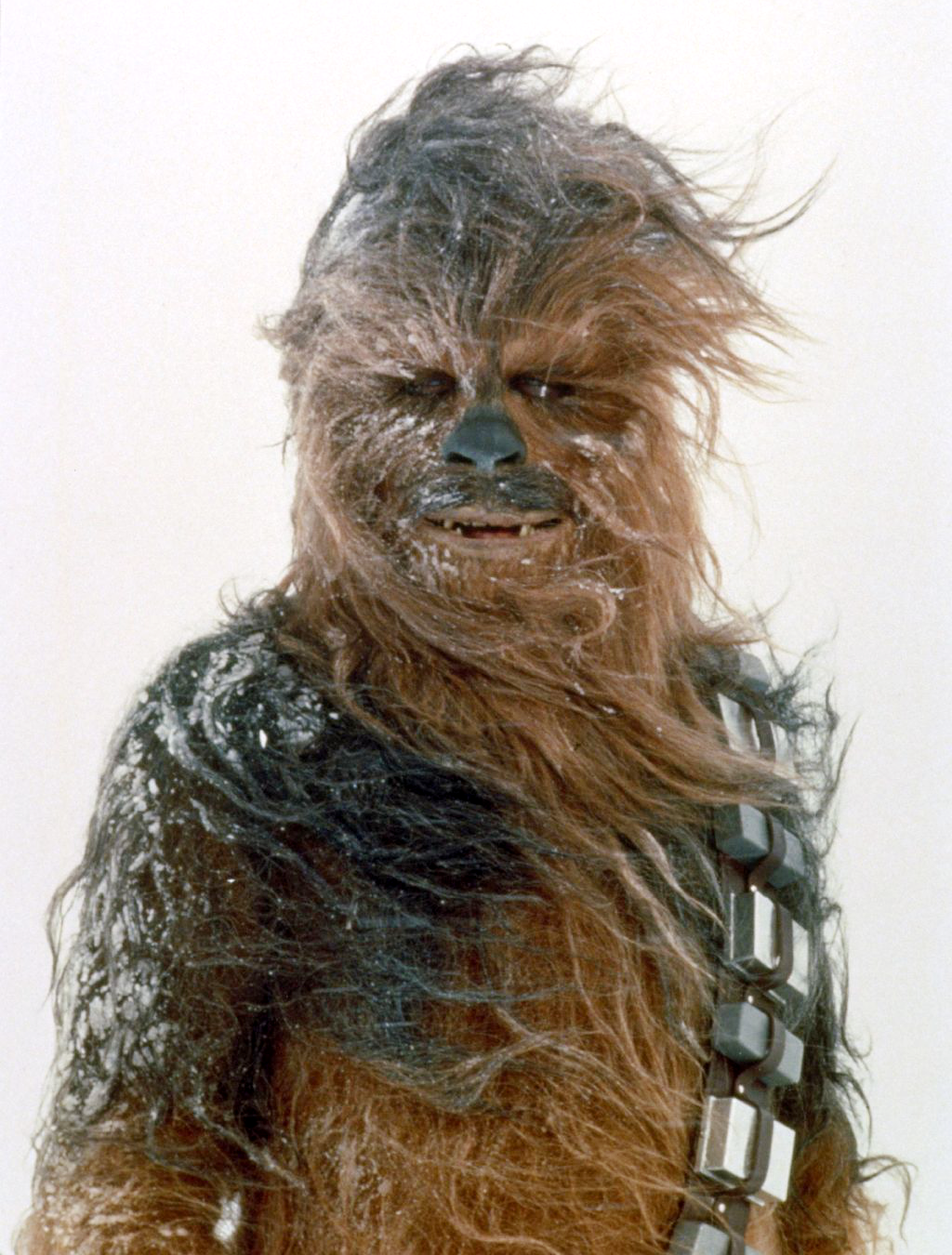 Chewbacca while on Hoth.