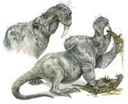 Mutant Rat.jpg (68 KB) Mutant Rat