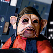 Nien Nunb JKTCG