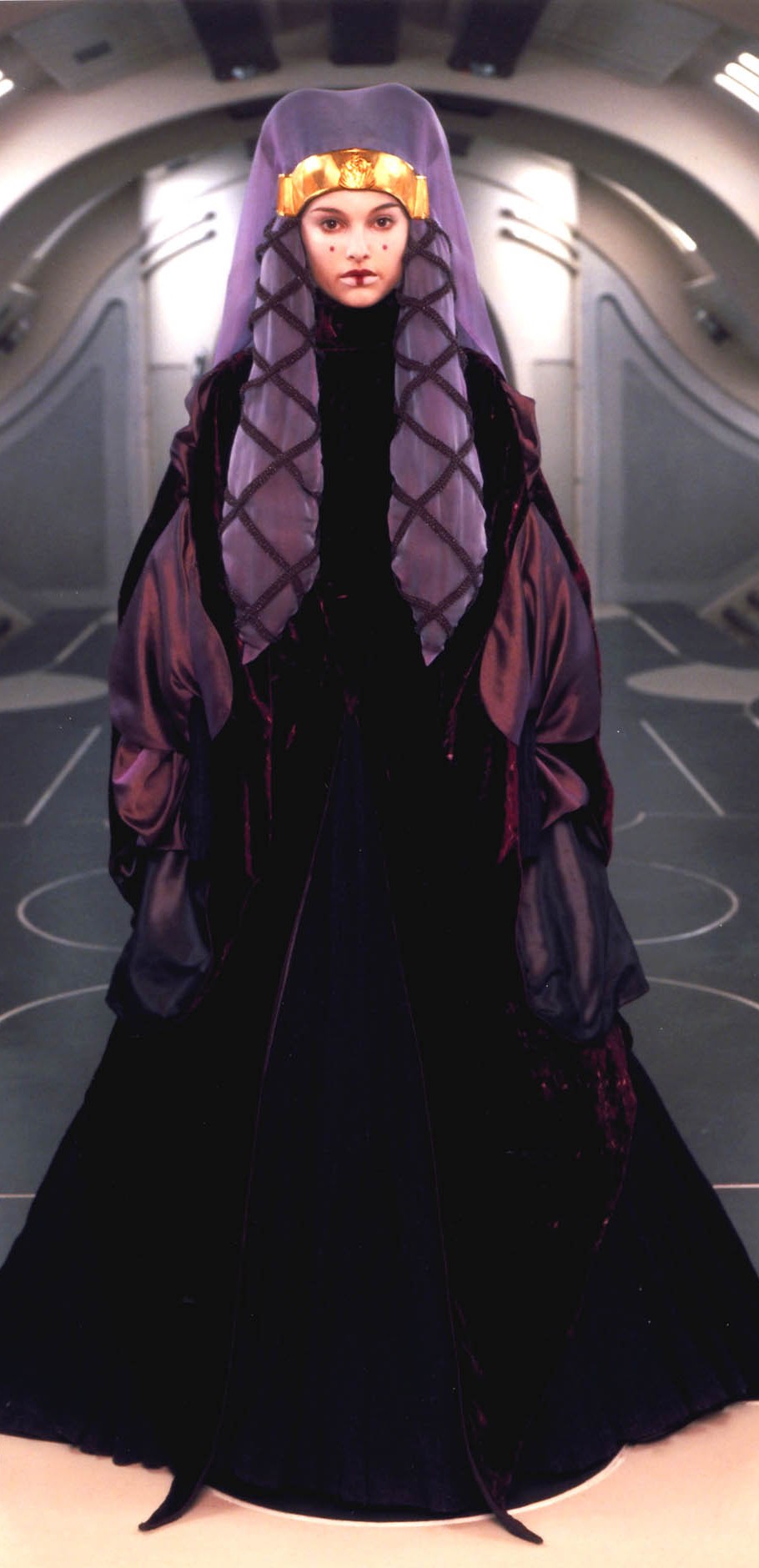 Dark purple traveling dress appearance in Common Appearance