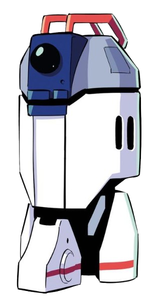 R-DUO appearance 