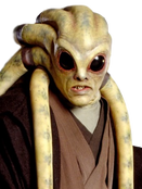 Kit Fisto