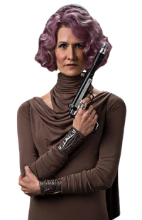 ViceAdmiralHoldoChromeBlack2022