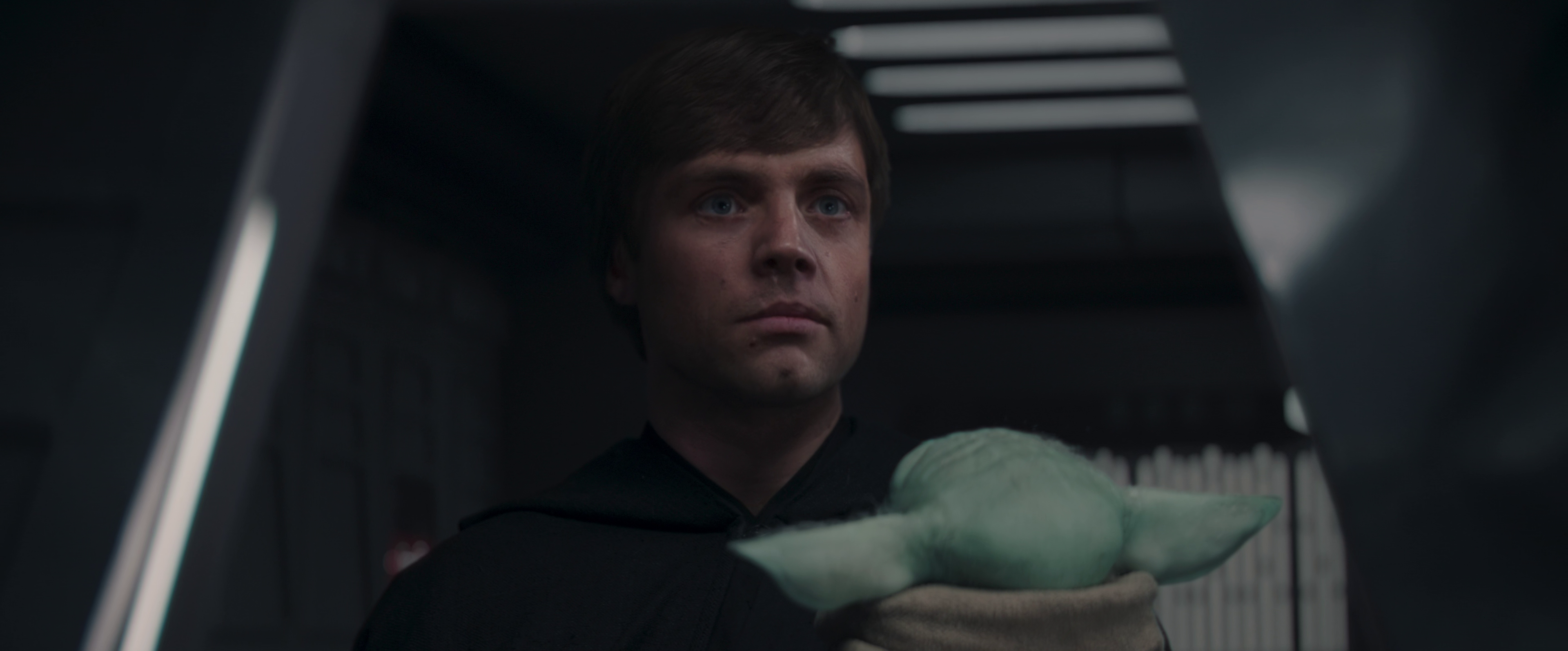 Grogu was taken in by Luke Skywalker