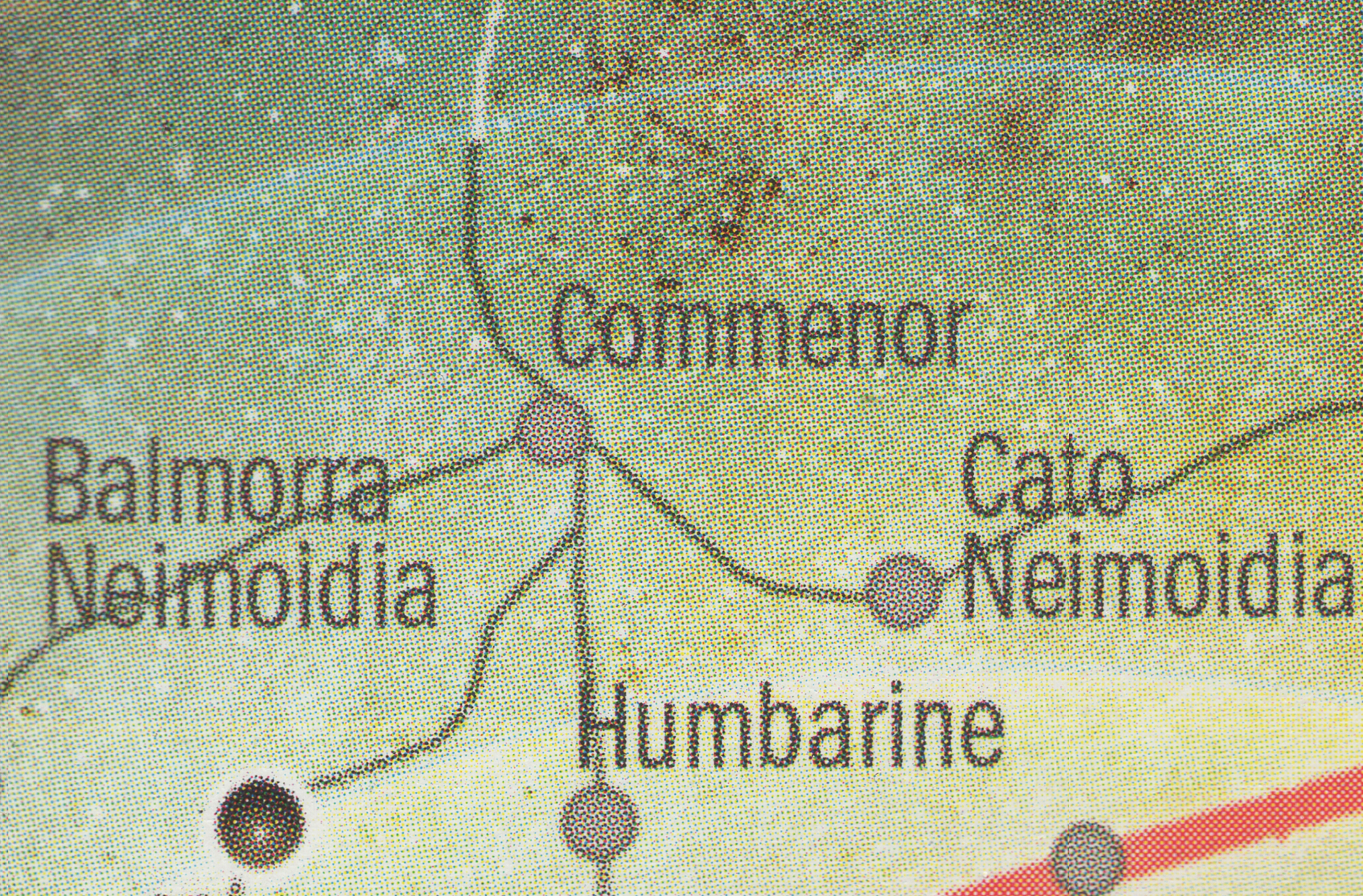 Commenor appearance in Common Appearance