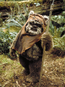 Wicket RotJ