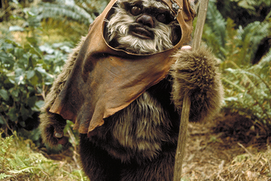 イウォーク | Wookieepedia | Fandom