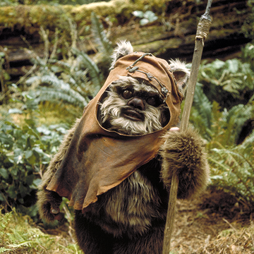 ウィケット ウィストリ ウォリック Wookieepedia Fandom ウィケット ウィストリ ウォリック Wookieepedia Fandom