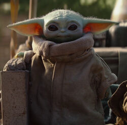 Baby Yoda.jpg