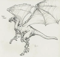 Condor dragon