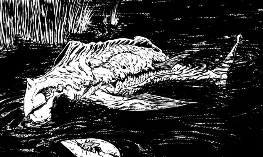 Nyantolo (creature) appearance 