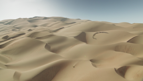 DuneSea-Biomes