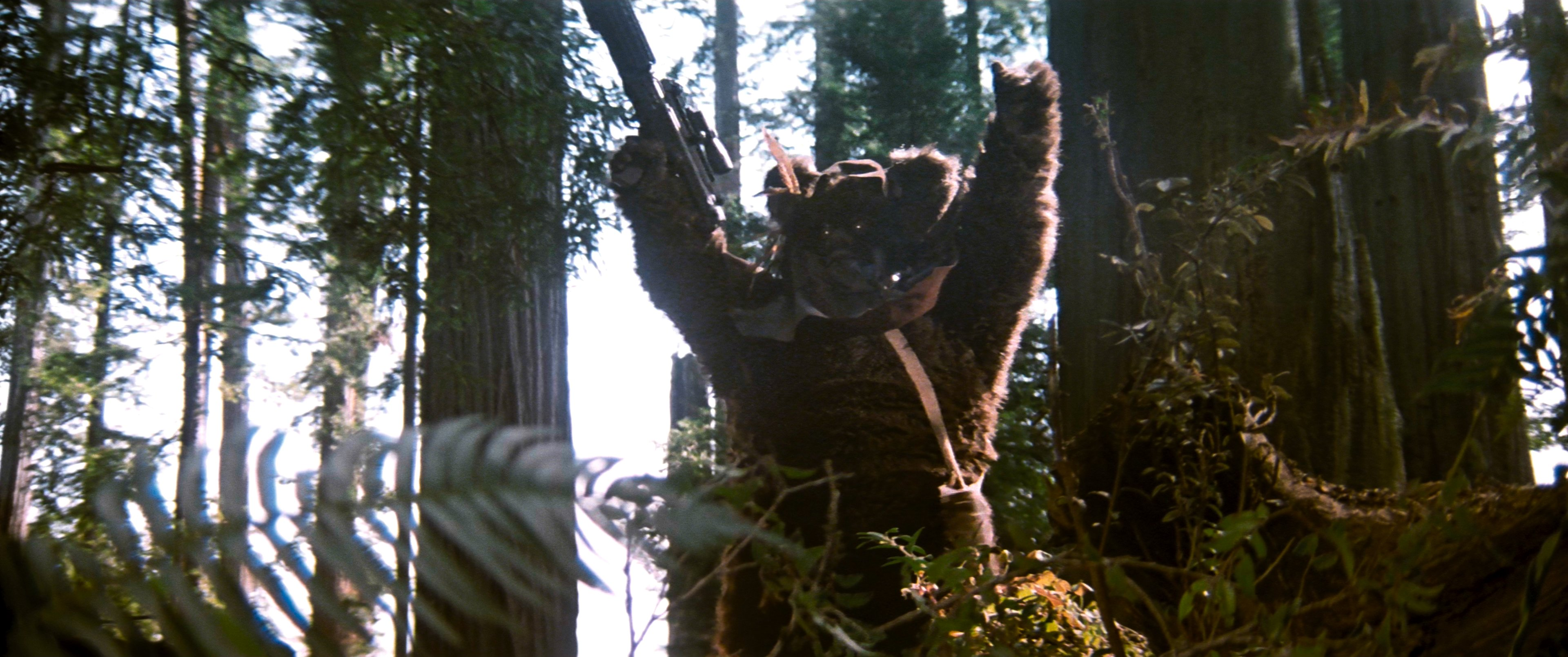 Lucas compared the Ewoks that defeated the Empire to the Vietnamese that defeated the "American Empire."