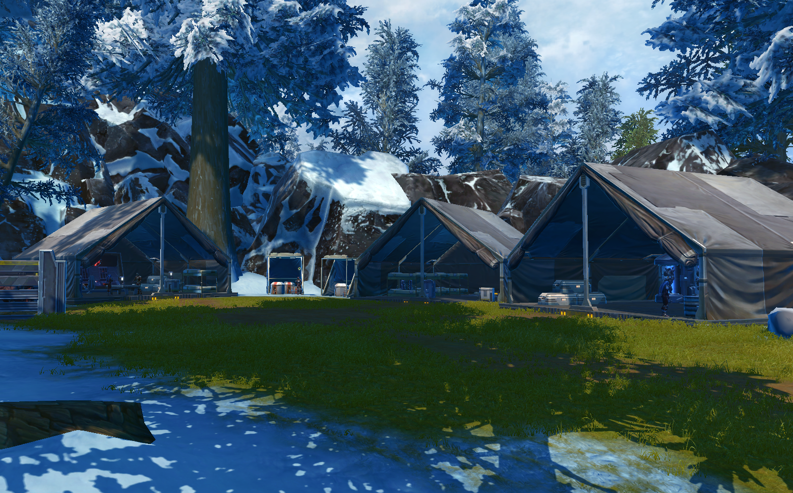 Astar Vox's camp appearance 