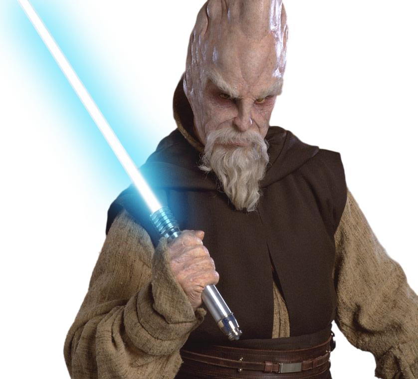 Stoic Jedi, Ki-Adi-Mundi