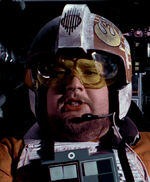 Porkins