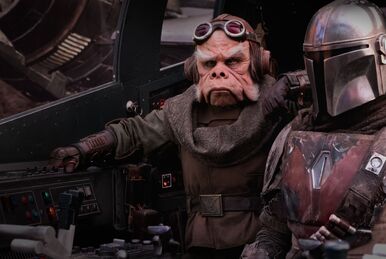 Chapter 1 The Mandalorian Wookieepedia Fandom