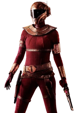 ZoriiBliss-TROSposter