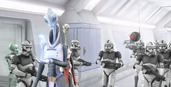 Kamino security