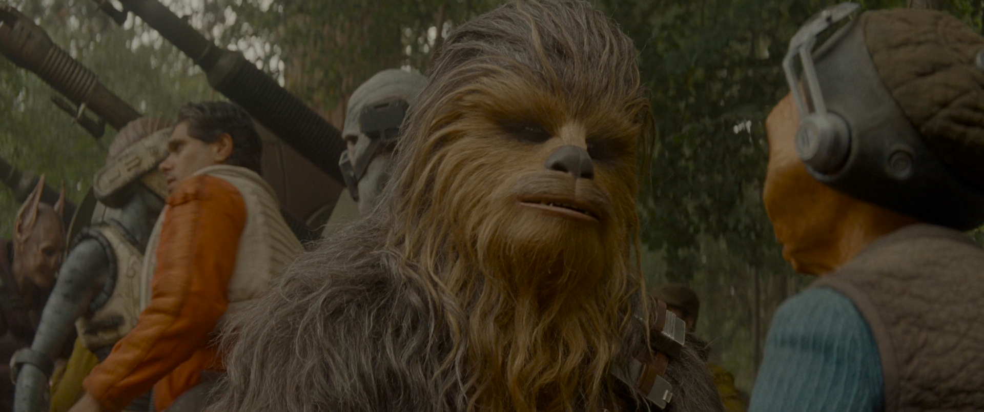 Chewbacca still remembered hearing the Kashyyyk clarion call at Kachirho during the Battle of Kashyyyk over fifty-four years later.