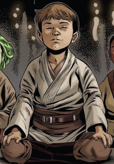 The members of the Jedi Order were raised to uphold the tenets of the Jedi Code since the earliest days of their training.