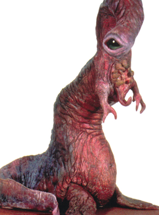 Unidentified dianoga-like species appearance 