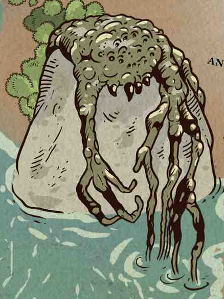 Angler appearance 