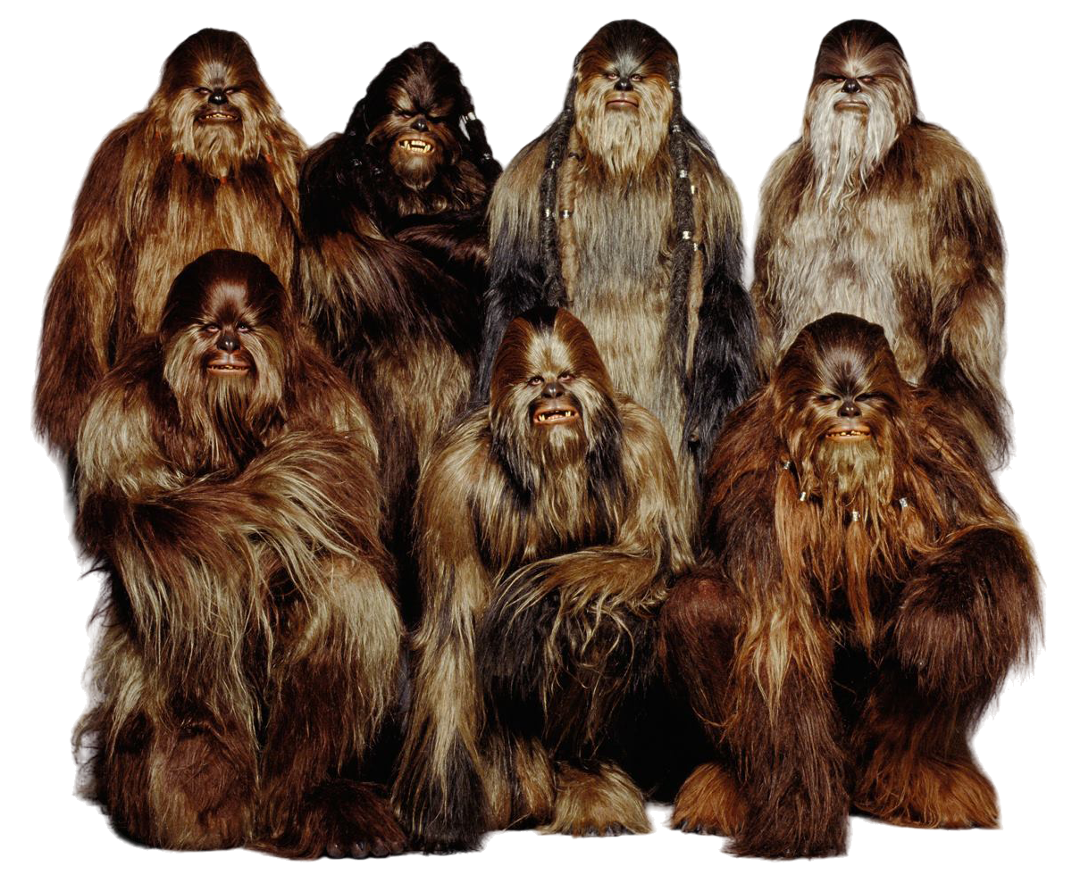 A photograph of the seven Wookiees, excluding Chewbacca and including Grakchawwaa, (top-left) taken during the production of Revenge of the Sith