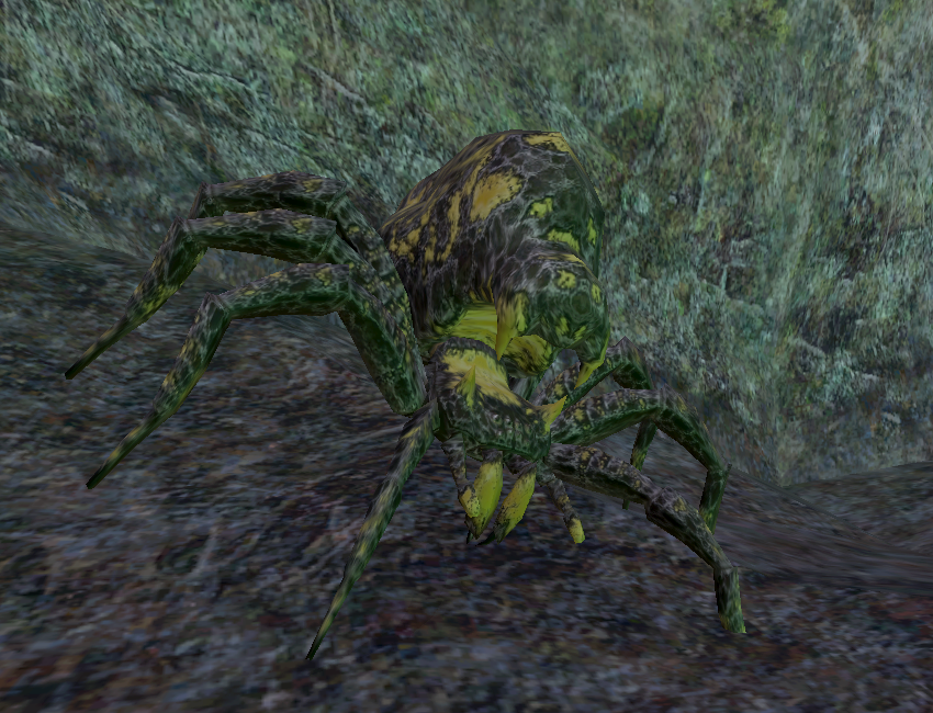 Cavern spider appearance 