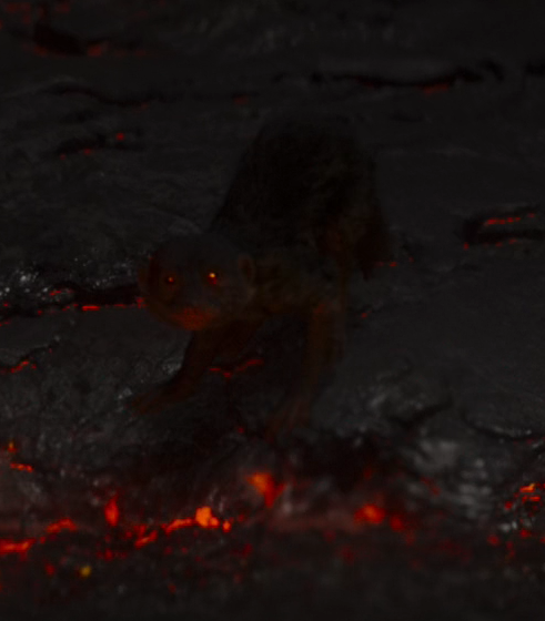 A lava meerkat near a lava river