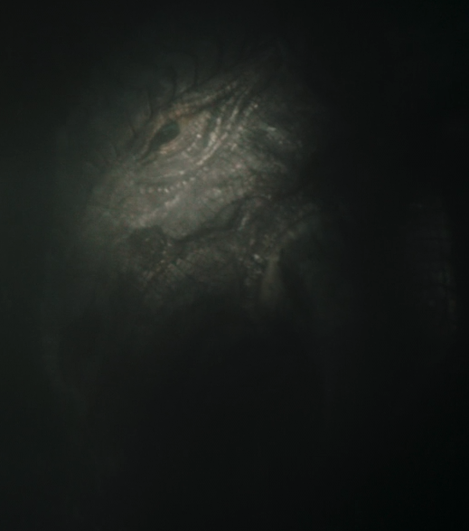 What Is a Mythosaur on 'The Mandalorian'? Explaining That Episode 2 Creature