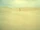Dune Sea