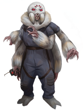 Admiral Trench Harch Admiral Trench Harch