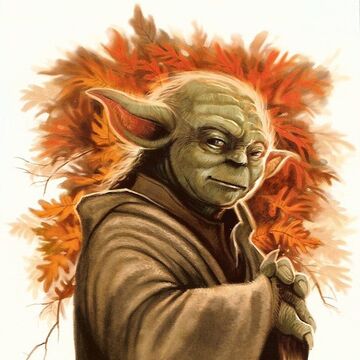 Yoda S Species Wookieepedia Fandom Star wars fans were thrilled about the mandalorian the second it was announced as the flagship show of disney plus, but few could've predicted that baby yoda would steal the show. yoda s species wookieepedia fandom