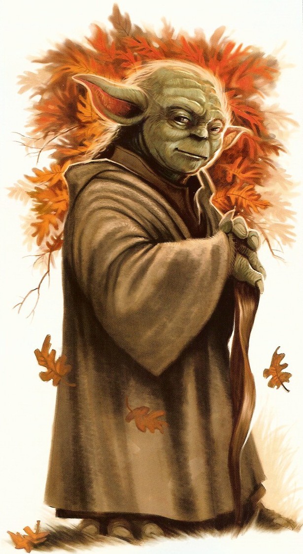 Yoda S Species Wookieepedia Fandom