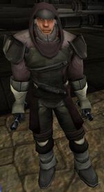 Rebornmasterdual