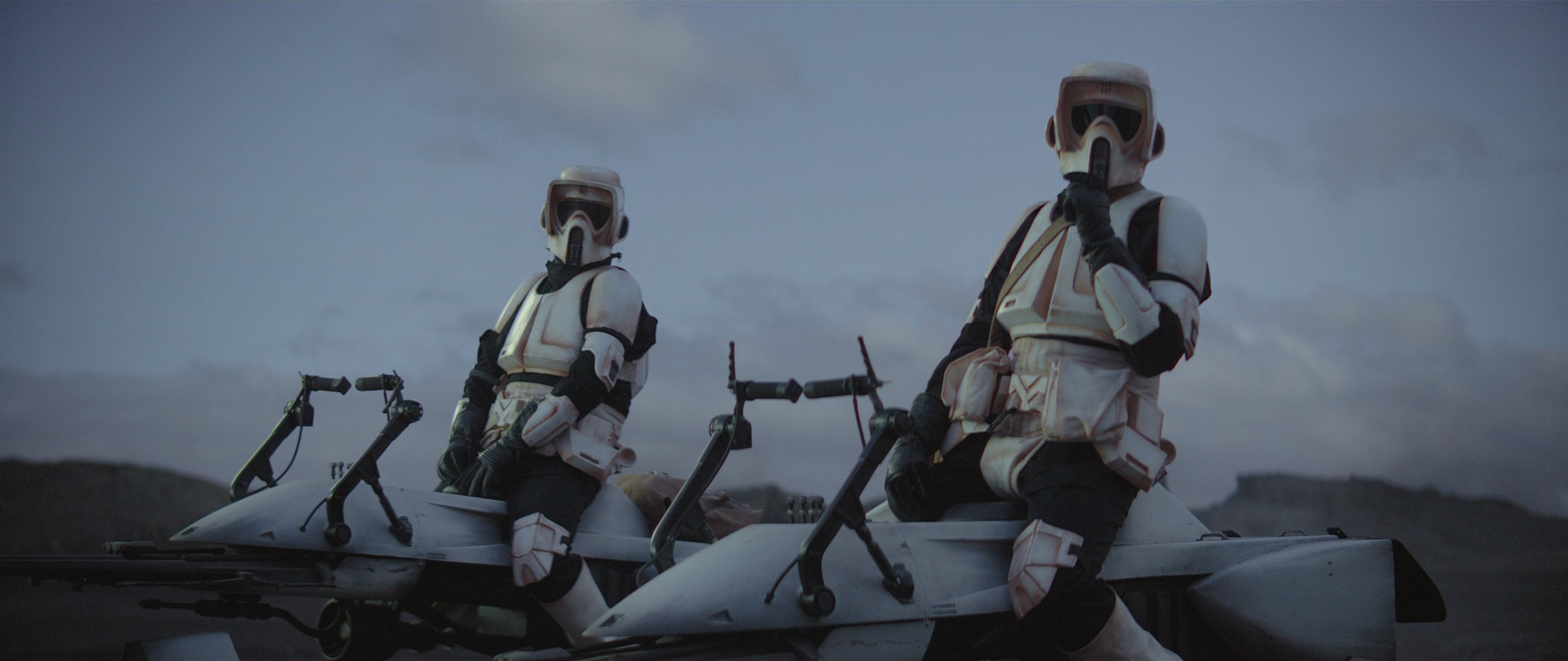 Scout troopers were light-armored reconnaissance units.