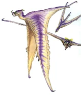 Bha.jpg (144 KB) Hawk-bat