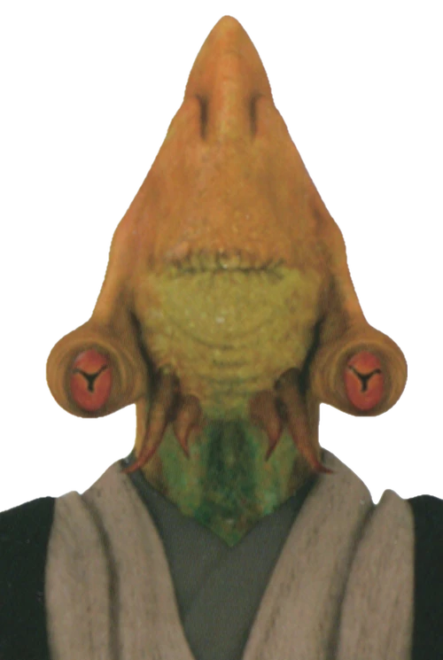 ColemanKcaj-Profile-SWCTP-J