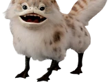 Loth-cat