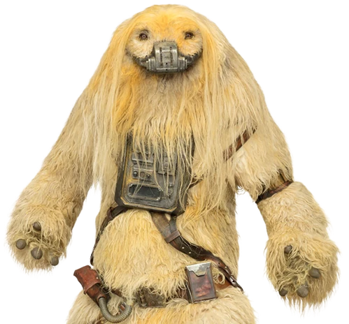 Senna | Wookieepedia | Fandom