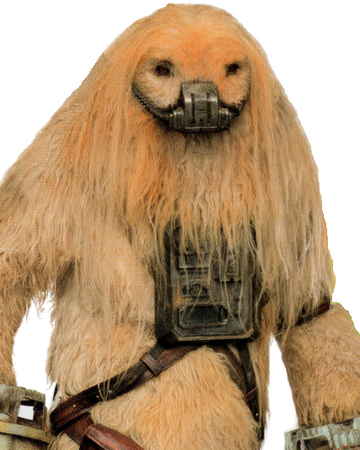 セナ Wookieepedia Fandom セナ Wookieepedia Fandom