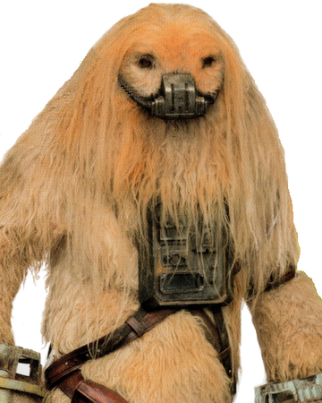 セナ Wookieepedia Fandom